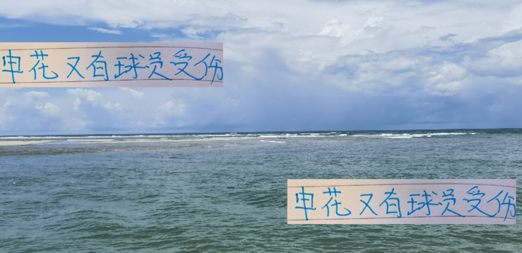 申花迎战成都蓉城：蒋圣龙、阿苏埃伤愈复出，生死战首发引关注