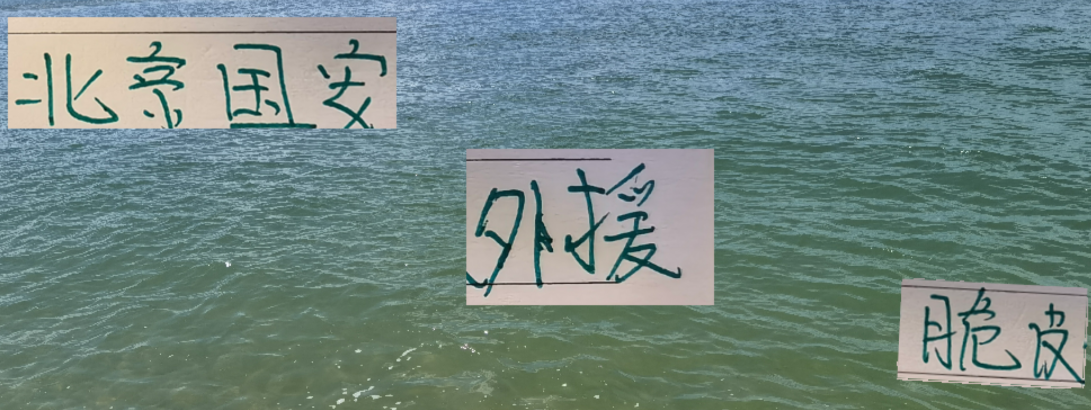 北京国安外援困境：欧冠红星队长斯帕吉奇赛季报销成疑
