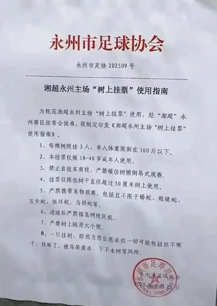 永州足协创新推出‘树上挂票’：安全措施完备，球迷需体检后上树