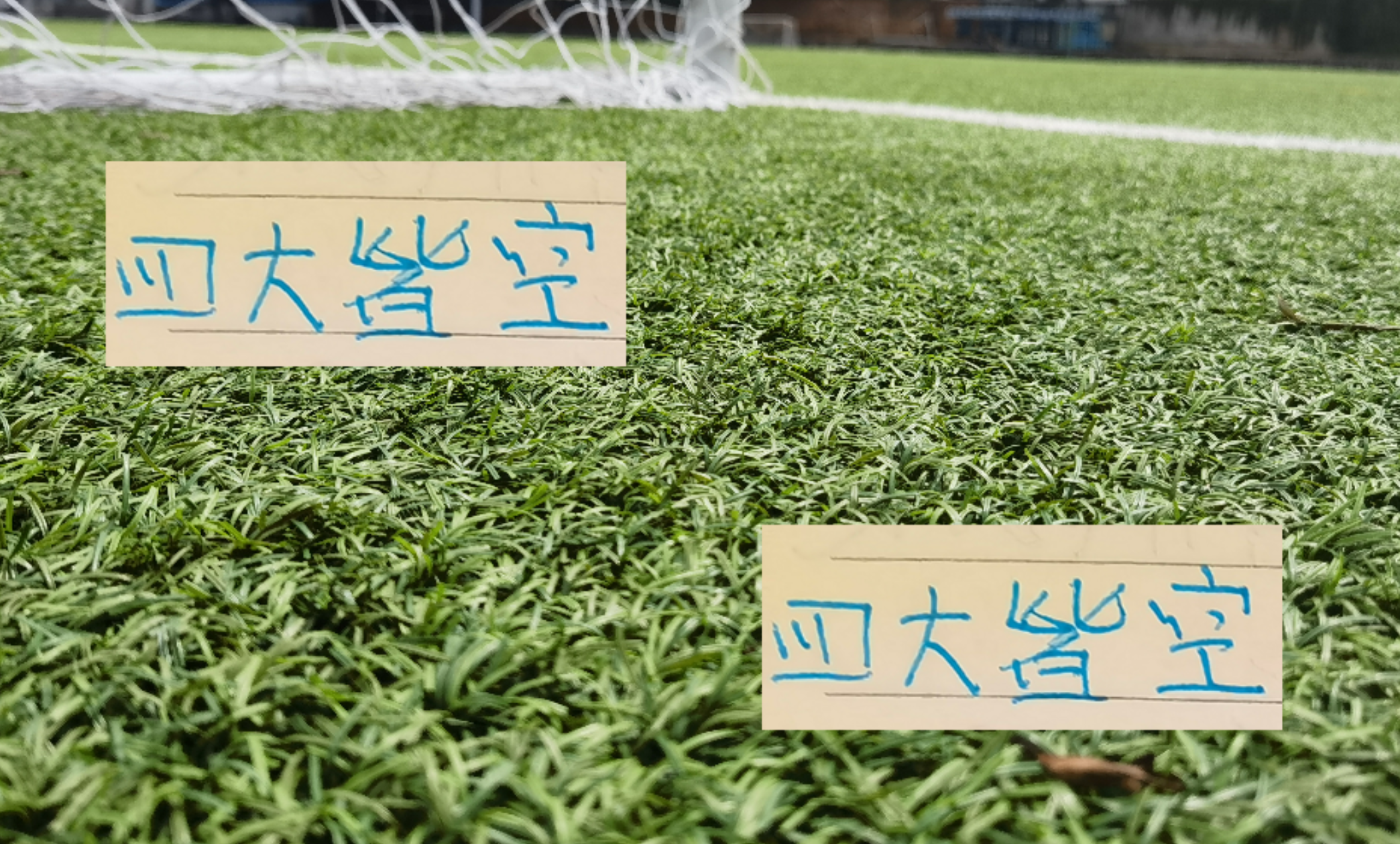 申花8战仅1胜！后5轮全胜夺冠难度大，伤病成最大阻碍