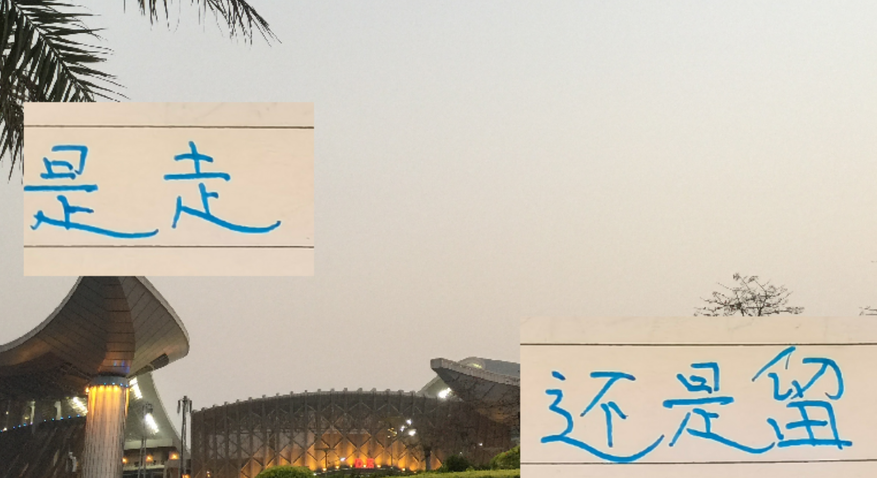 上海申花外援去留成谜：特谢拉、马纳法合同到期何去何从？