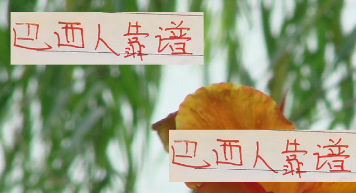 中超巴西外援闪耀：海港河南双雄的桑巴力量
