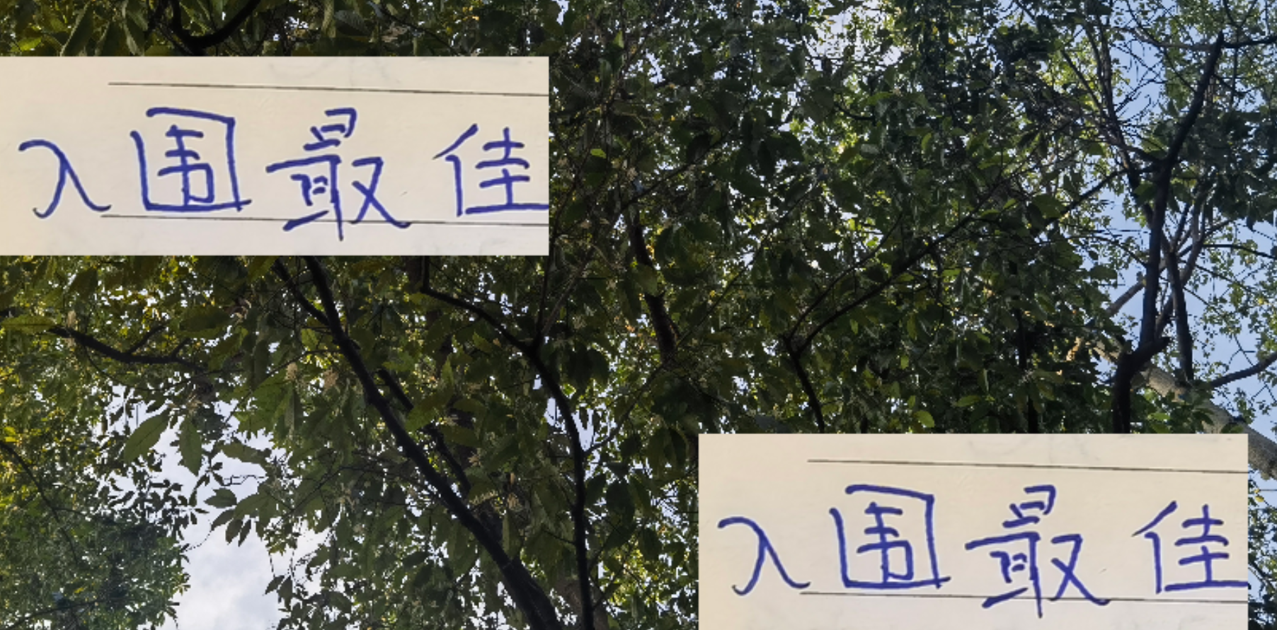 中超第25轮最佳候选：上海双雄莱昂纳多与陈晋一入围