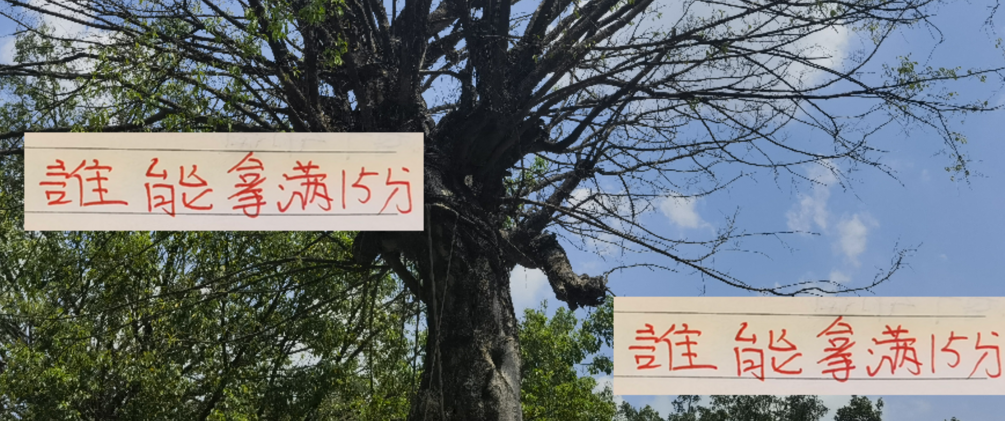 申花近8战仅1胜，最后5轮全胜能逆袭夺冠吗？