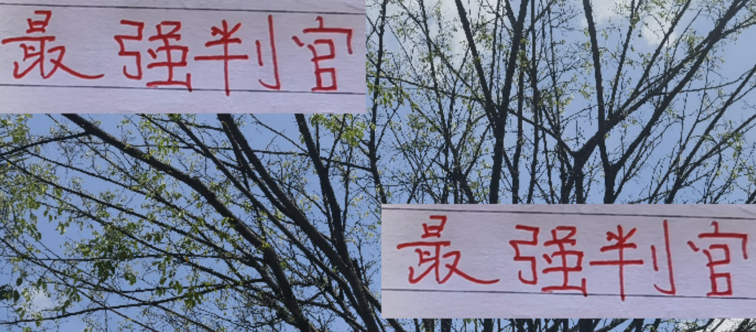 中超争冠关键：成都蓉城与海港的判官之争，河南VS山东泰山