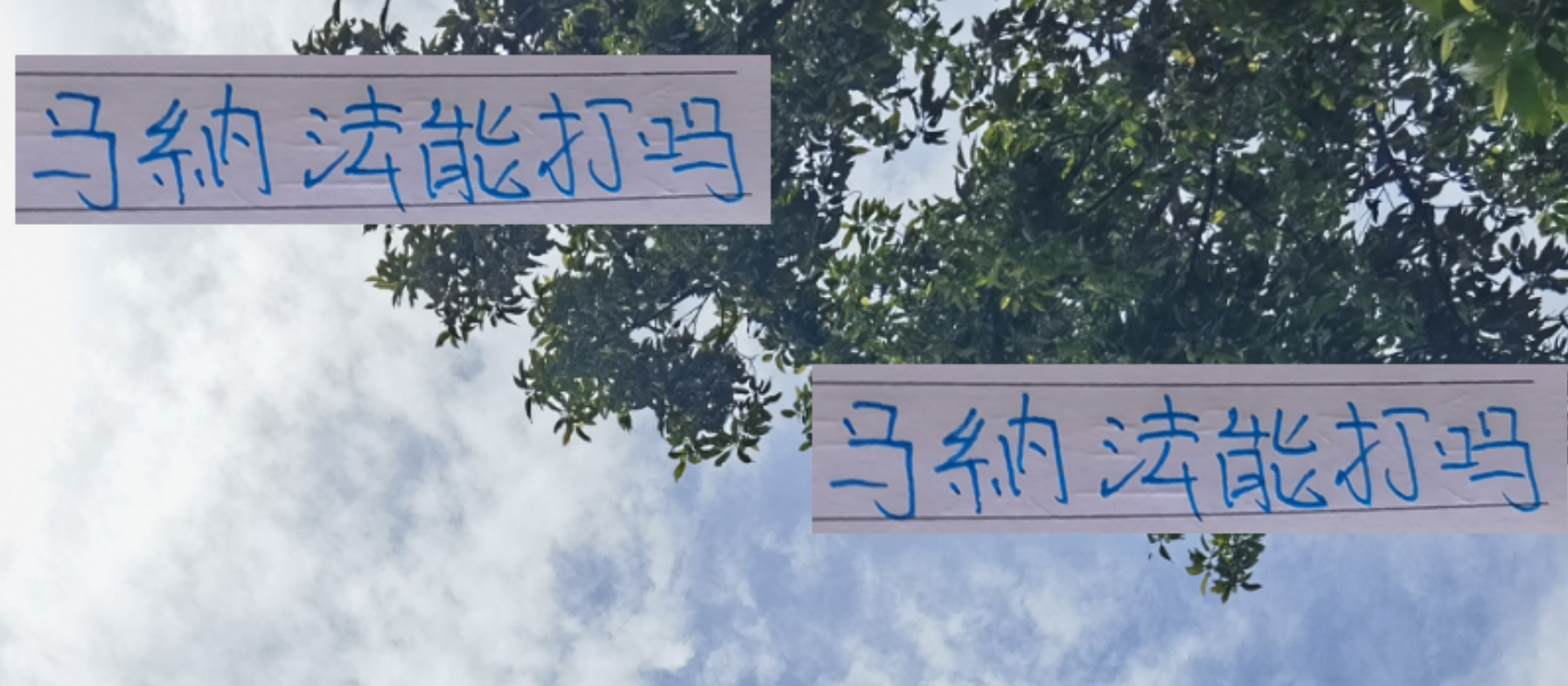 申花迎战梅州客家：阿马杜、李可、马纳法能否复出成焦点