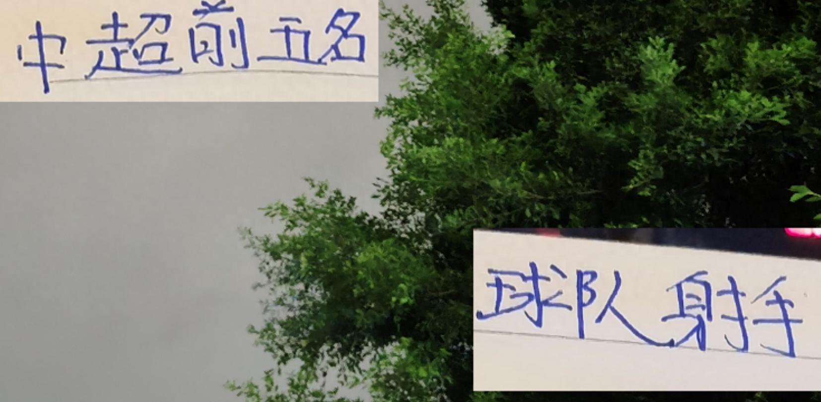 中超射手榜风云：海港莱昂纳多荣膺最佳球员