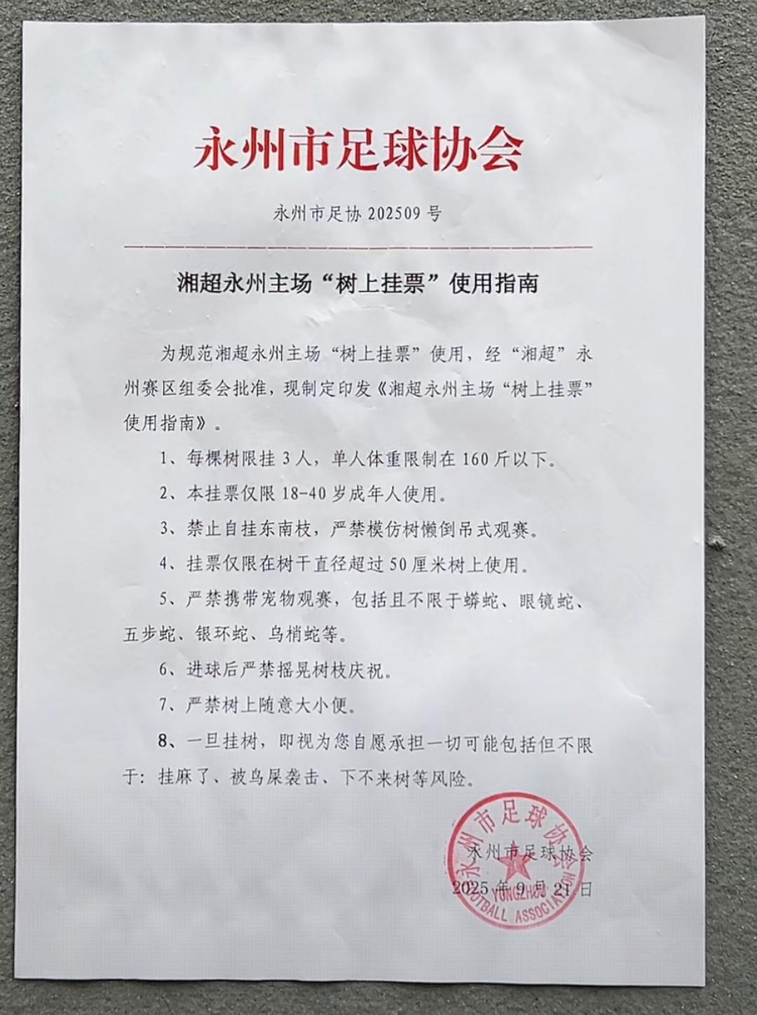湘超联赛永州队主场‘树上挂票’现象引发热议