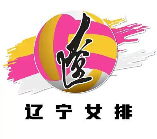 辽宁女排被曝欠薪半年，队员权益保障堪忧