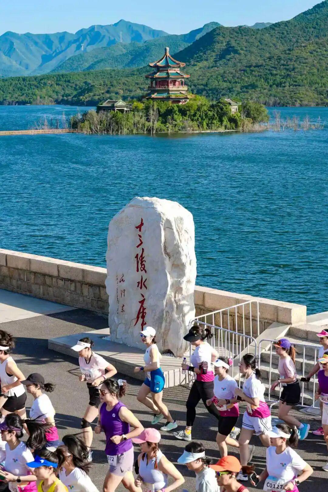 马拉松跑者72小时全记录：从赛前准备到赛后修复的奇妙旅程