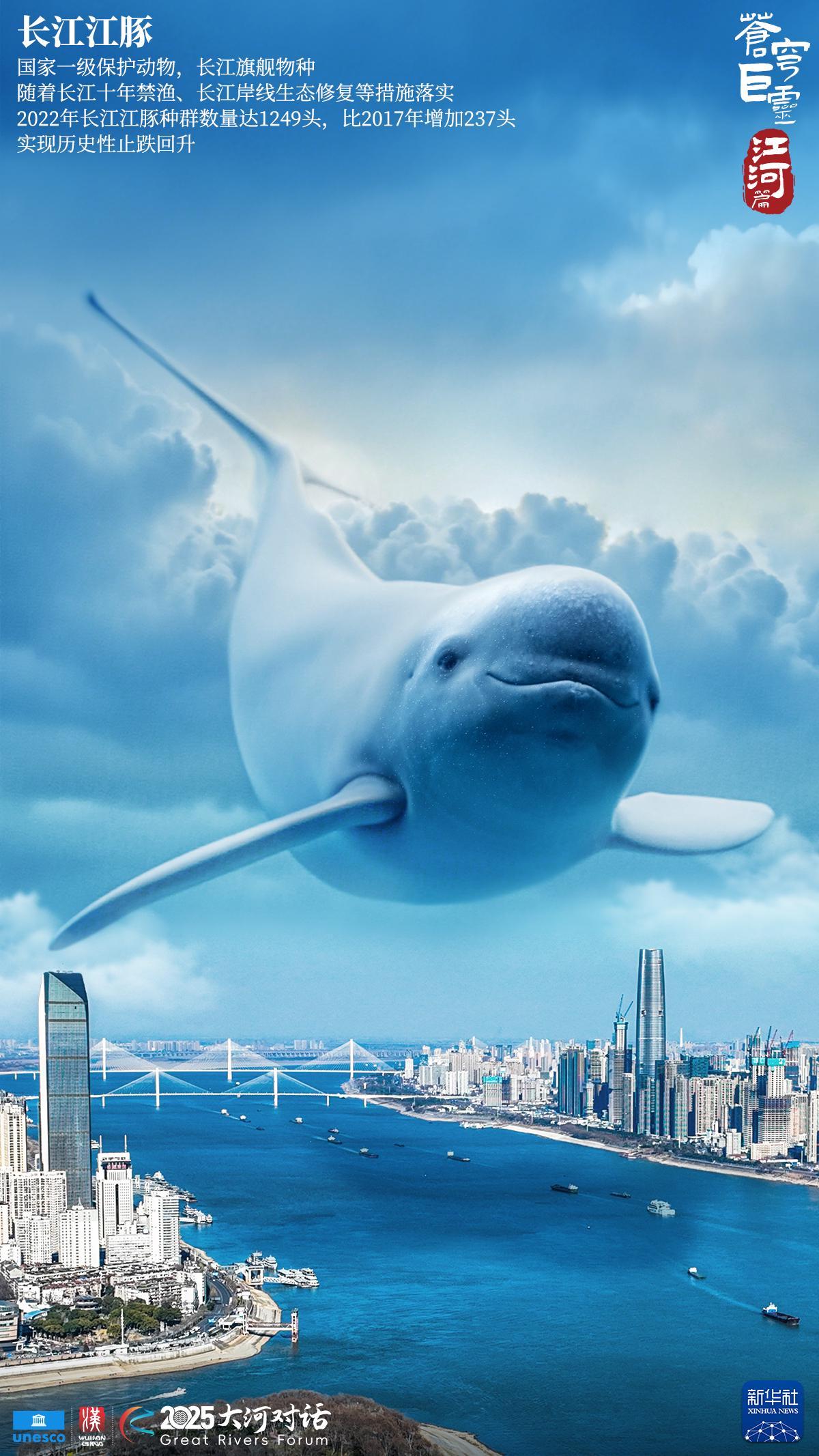 苍穹巨灵·江河篇｜江河复苏中的国宝级生物见证