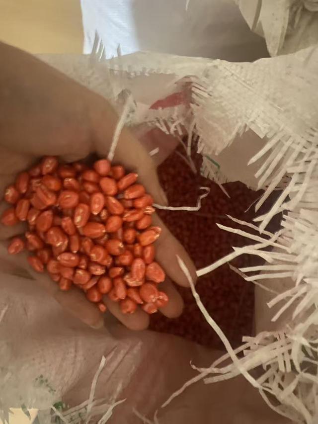 男子包地千亩种玉米疑遇假种子，损失百余万索赔遇难题；农业部门：已对售假者顶格处罚59万
