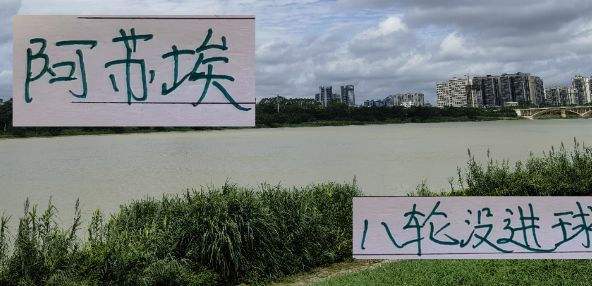 阿苏埃8轮未进球，申花总进球数仍超成都蓉城
