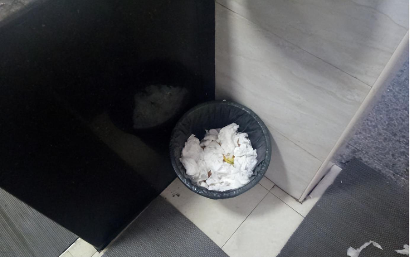 湖南18岁女生随父西藏自驾游，母亲发现纸篓秘密后崩溃