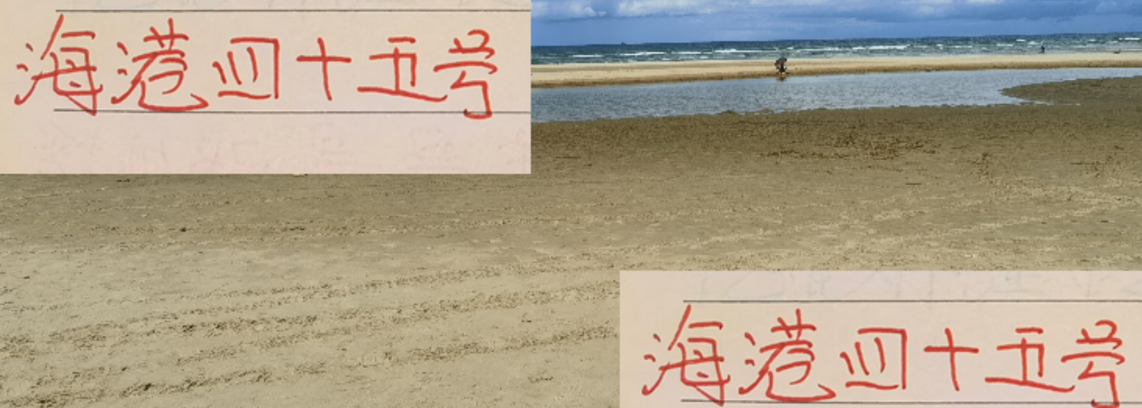 海港45号莱昂纳多：全勤前锋的惊人实力与团队价值