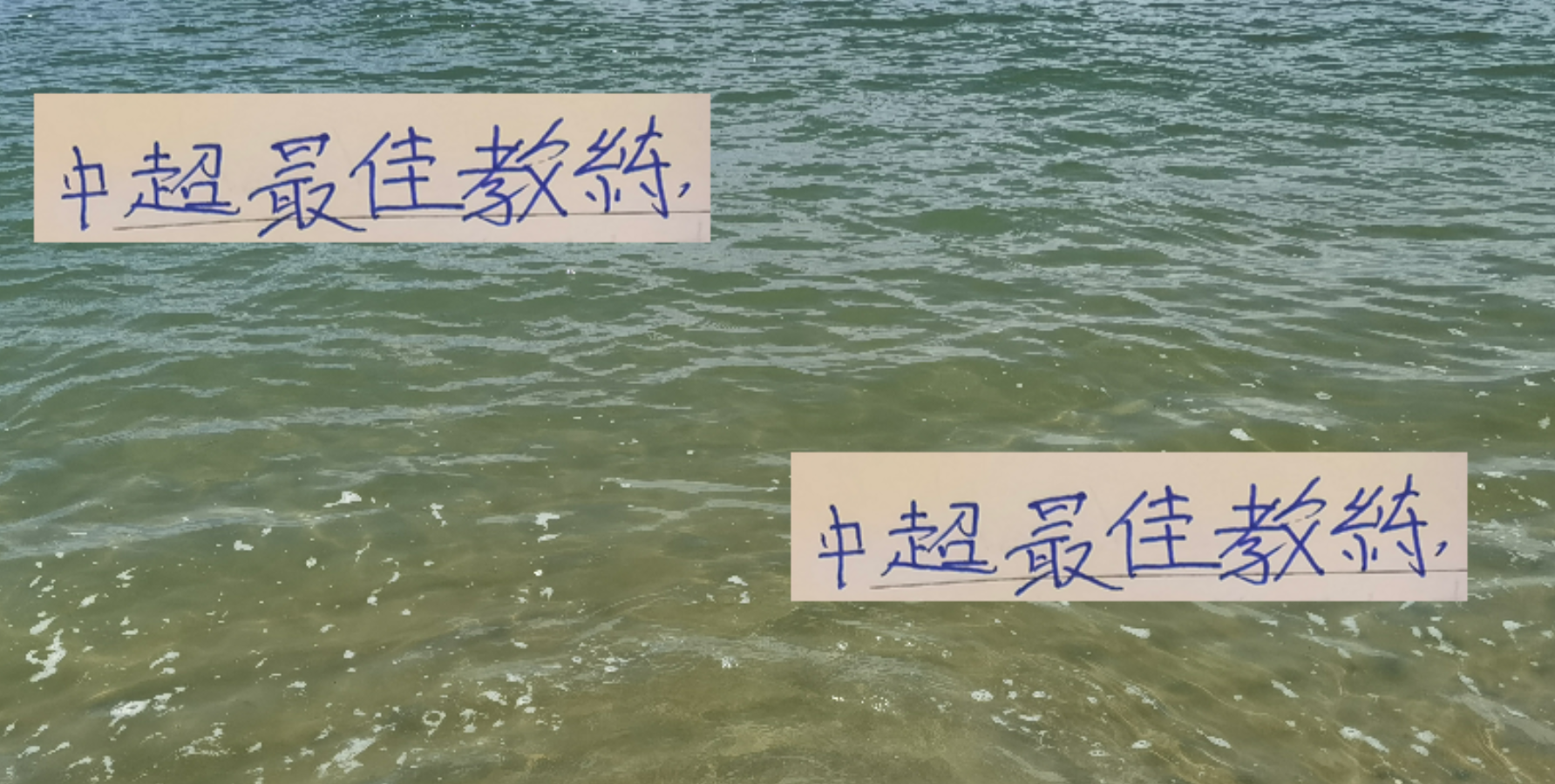 中超最佳教练花落谁家？冠军归属成关键，海港穆帅成热门