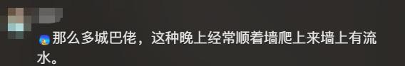 网友评论