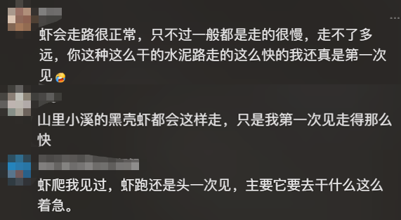 网友好奇