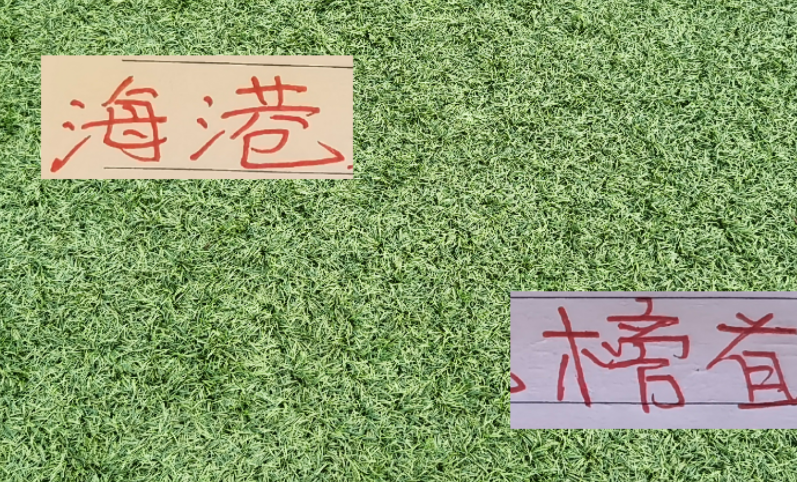 中超前三教练均获月度最佳，海港穆帅成唯一冠军教头