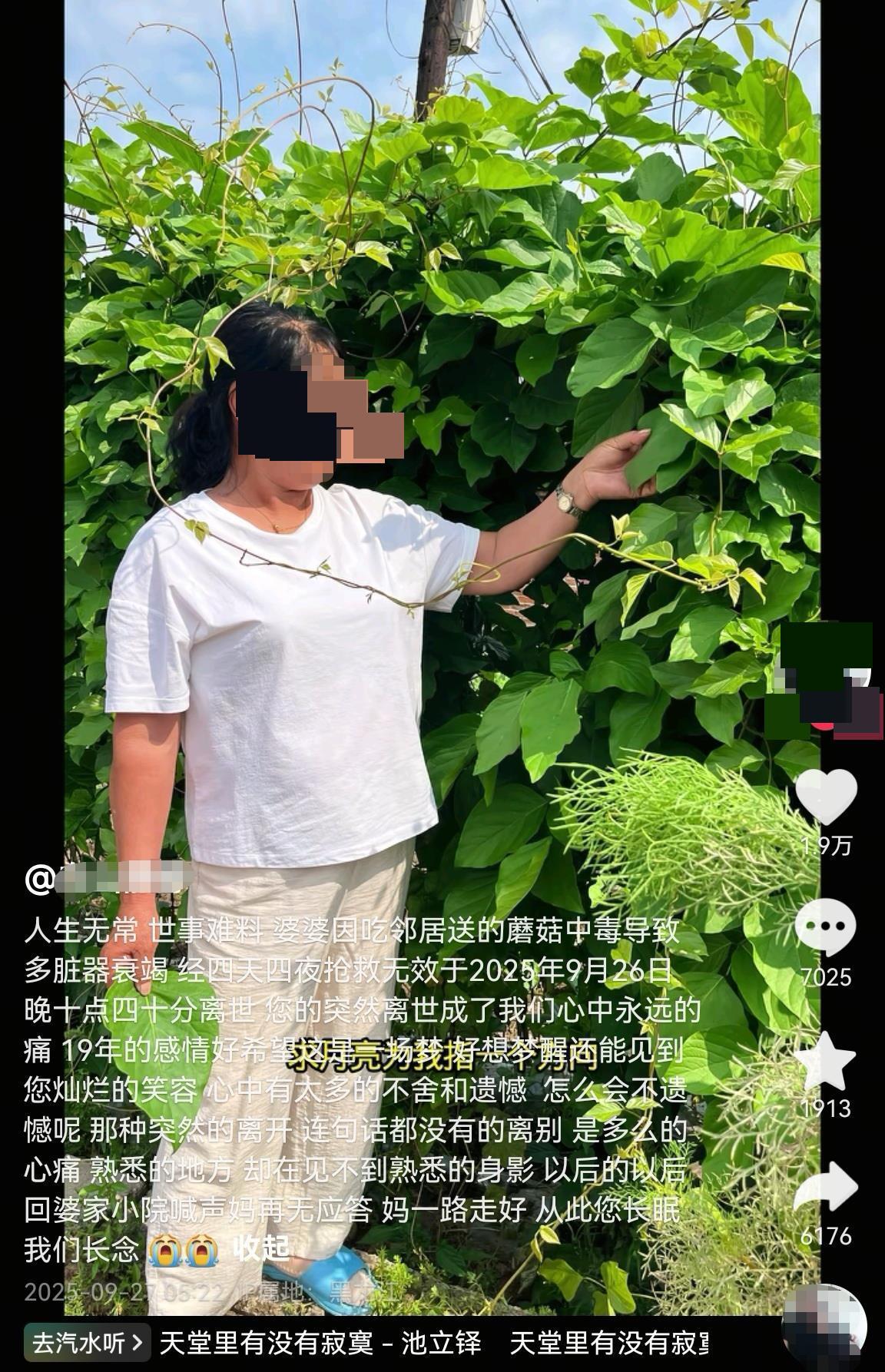 黑龙江网红婆婆误食毒蘑菇离世，邻居好心送礼酿悲剧