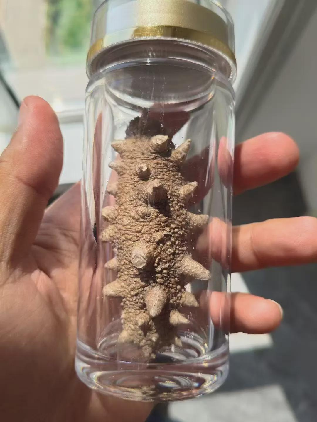 东北烧烤的秘密，都藏在马拉松里