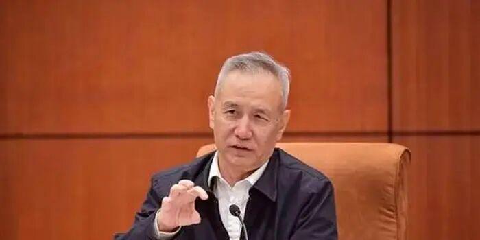 刘鹤：我感到了真正的危机，中国要建一道防火墙！