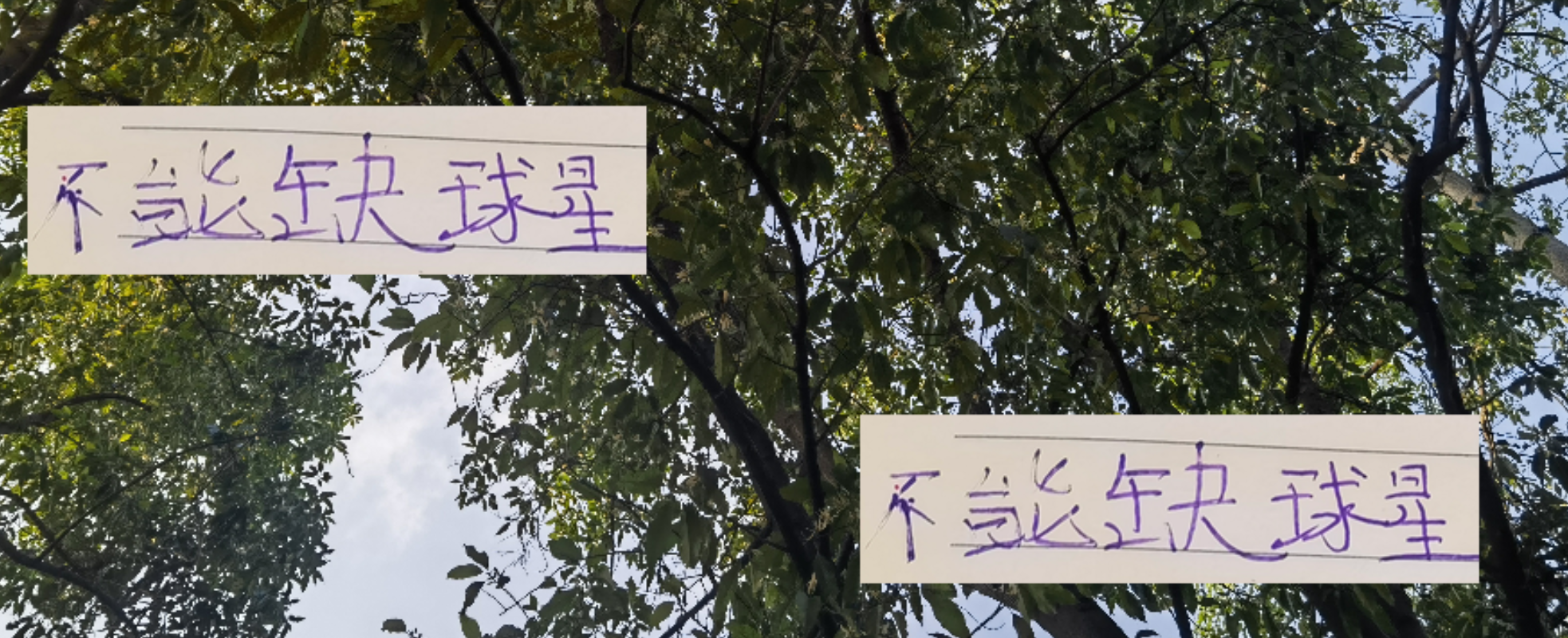 中超末轮争冠关键：海港莱昂纳多、申花特谢拉成核心支柱