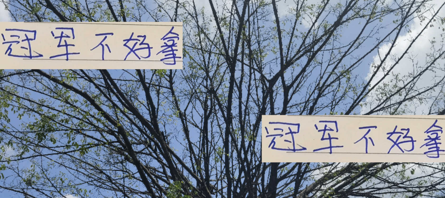中超激战：成都蓉城遭绝平，海港逆袭，争冠形势扑朔迷离