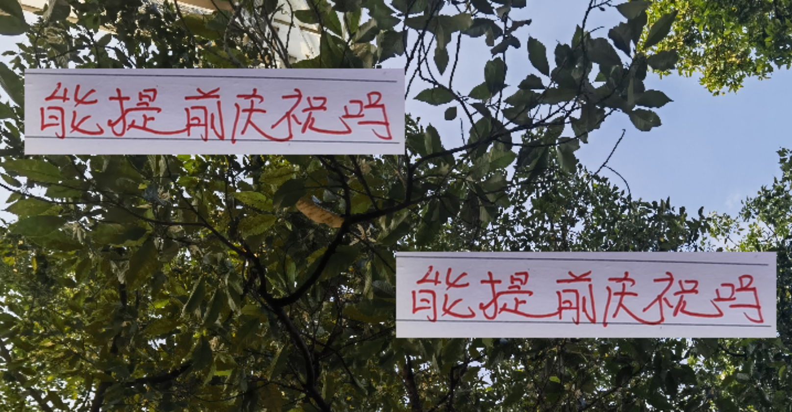 中超争冠关键战：海港提前夺冠需满足哪些条件？