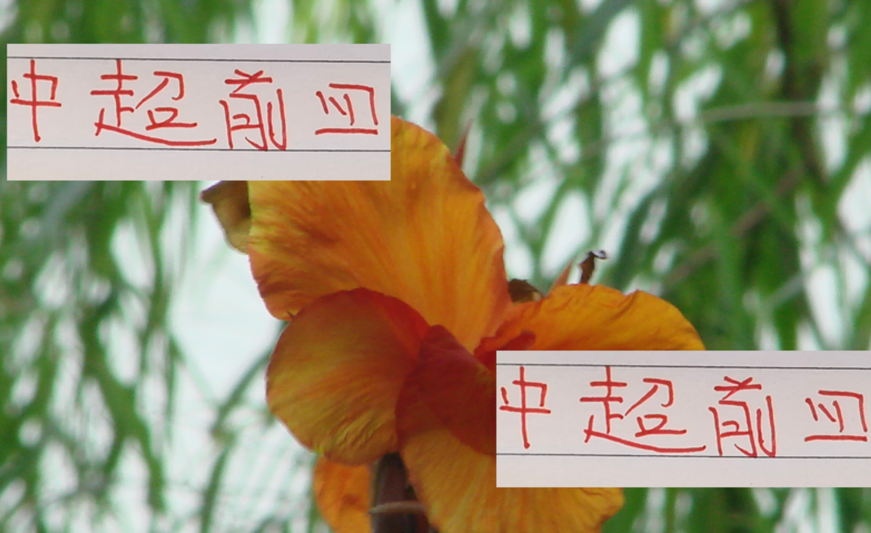 中超前四强领袖揭秘：海港王燊超、申花吴曦领衔