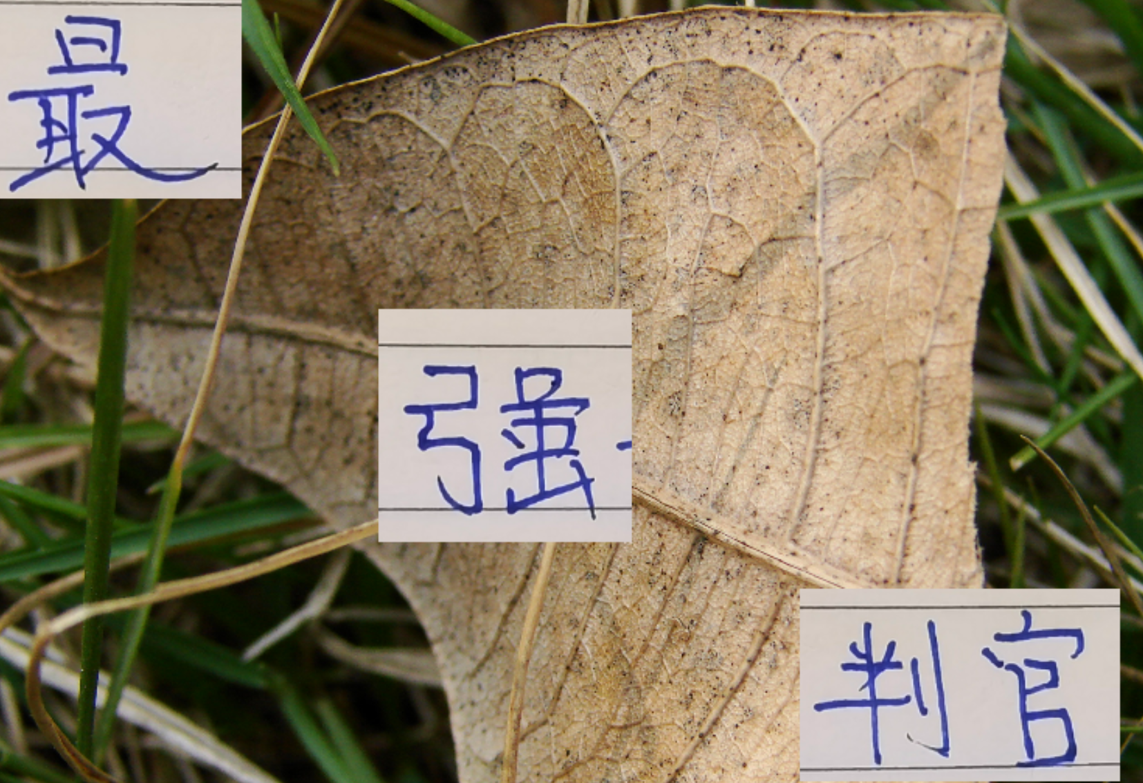 中超判官浙江：已让申花成都丢分，能否再阻击海港？