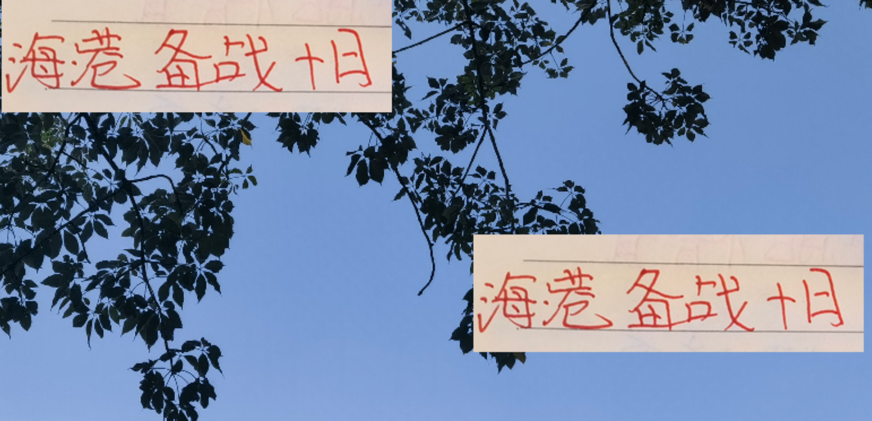 亚冠赛场：上海海港终结对日连败，10月联赛蓄势待发