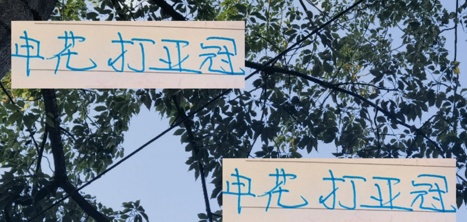 申花国庆亚冠出征：全力以赴，最强阵容亮相！
