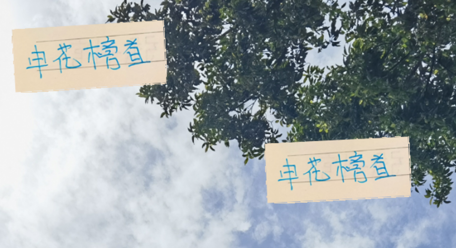 中超26轮战罢：申花榜首次数最多，夺冠概率却仅排第三