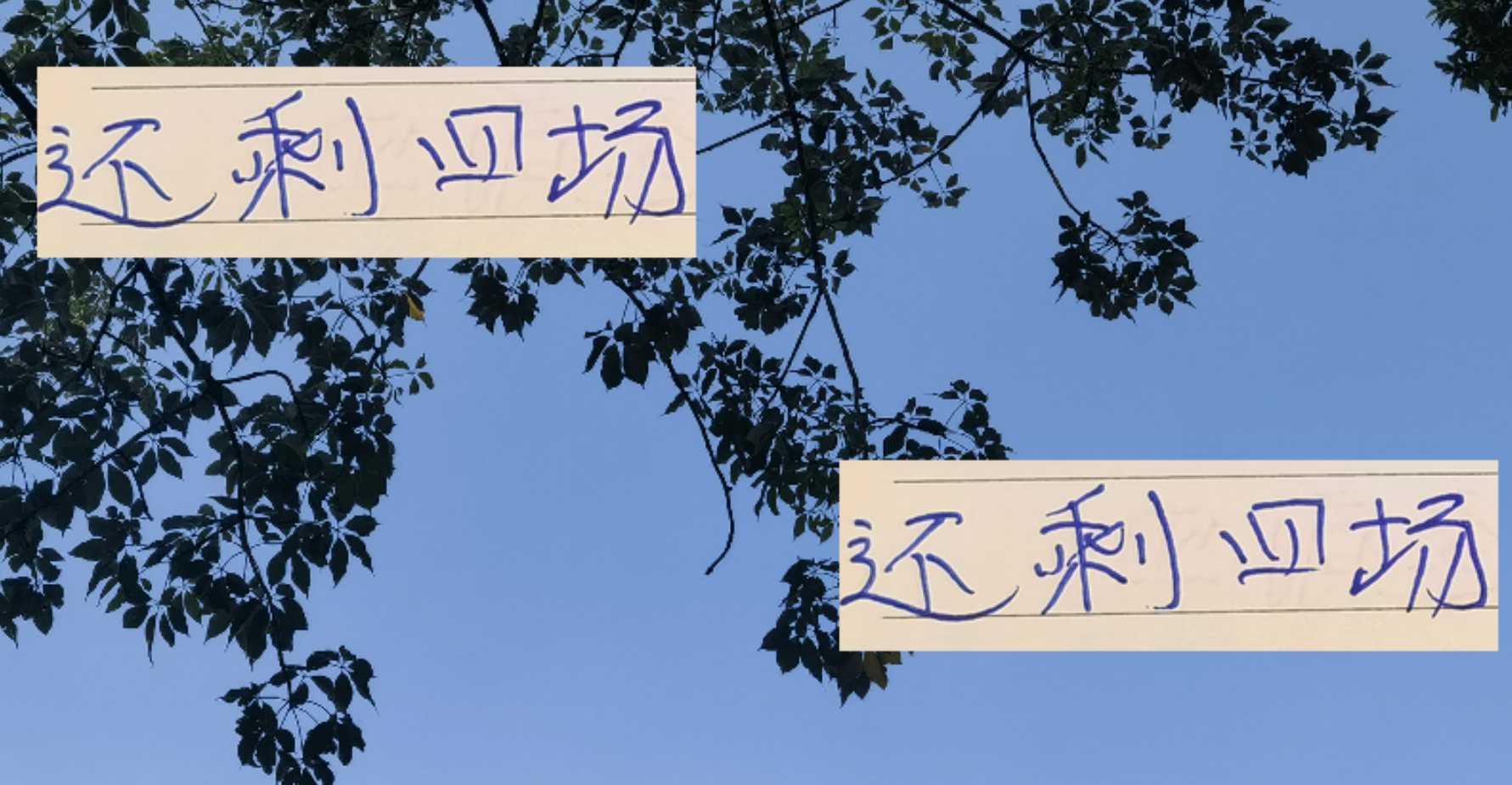 中超决战月：申花夺冠需自身硬，更盼山东三队阻击对手