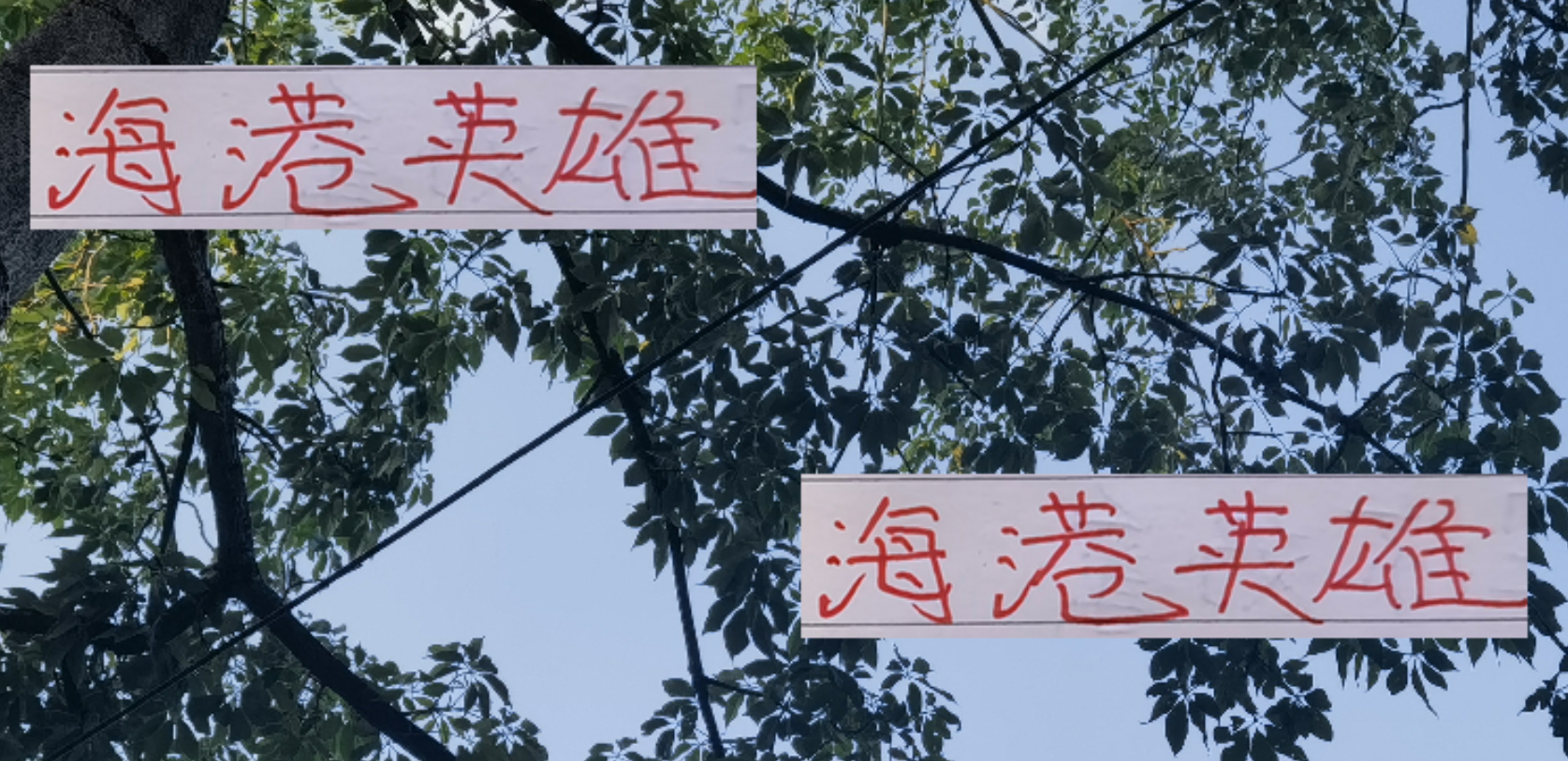 海港冲刺阶段英雄辈出：维塔尔、刘若钒、莱昂纳多闪耀赛场
