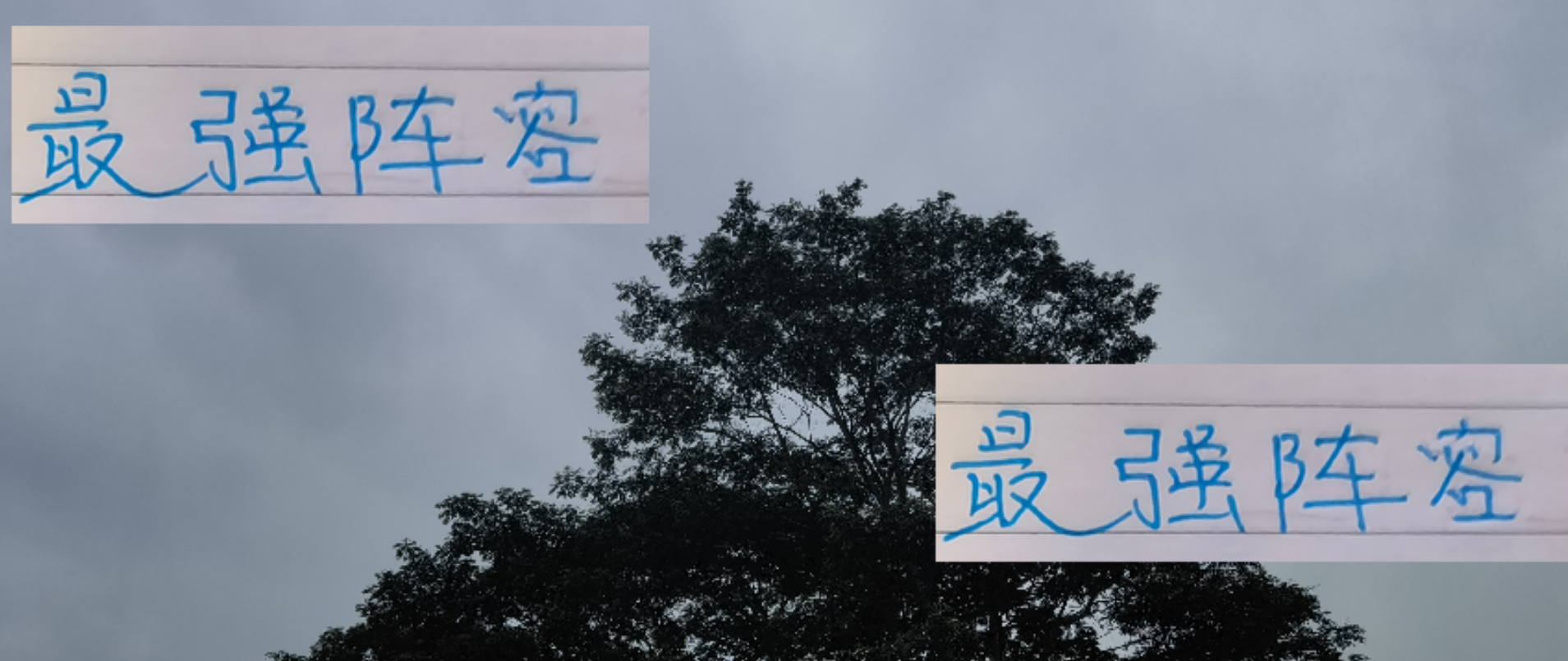 申花亚冠精英赛派最强阵！阿马杜缺席成遗憾