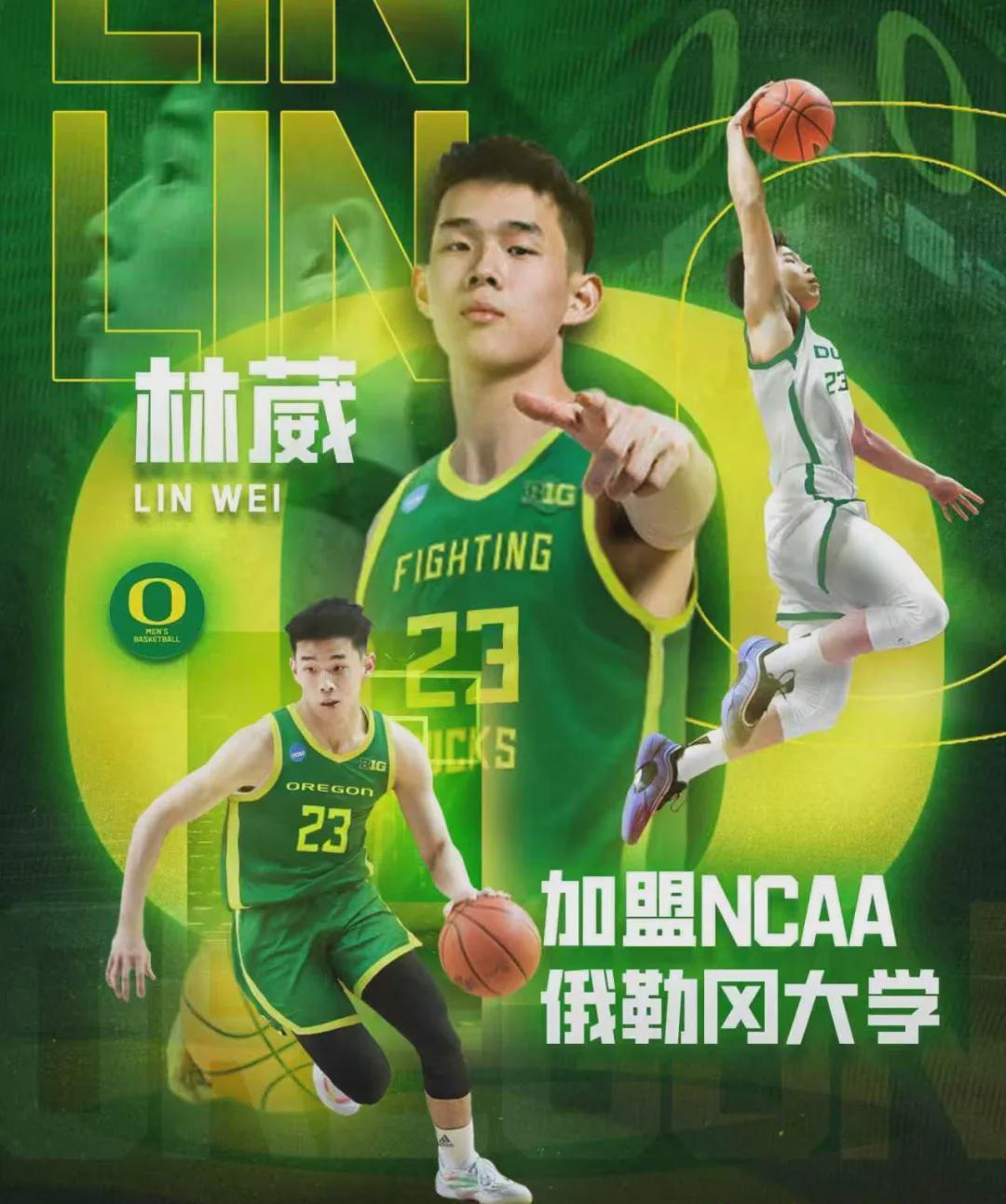 林葳创历史！CBA球员首征NCAA，俄勒冈大学开启新篇章