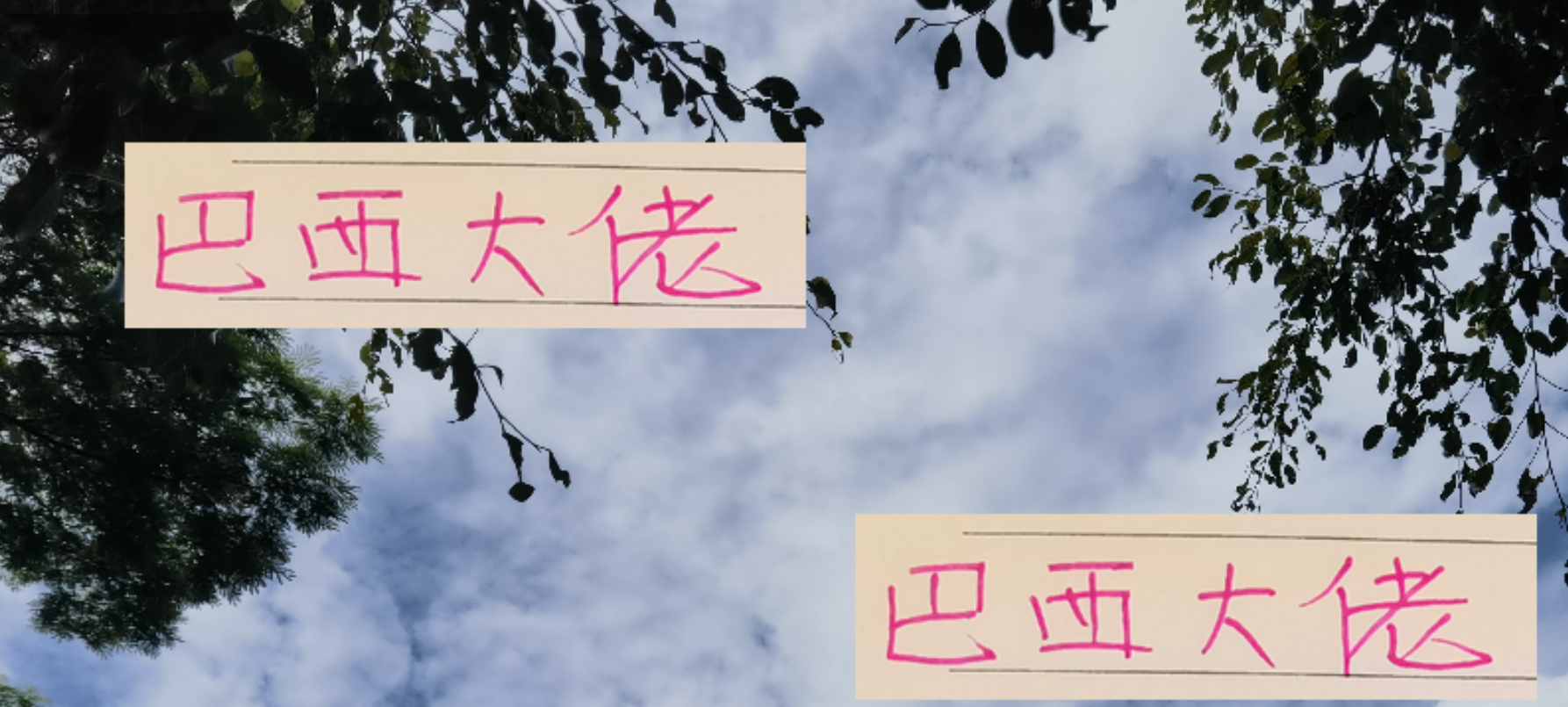 中超三甲巴西外援解析：海港莱神、申花米神、蓉城罗慕洛