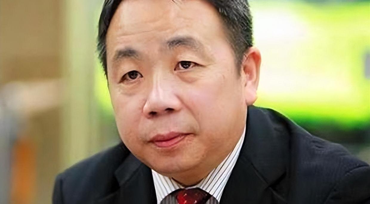 石平太郎女儿签证三度被拒，网友：父债女偿，自食恶果