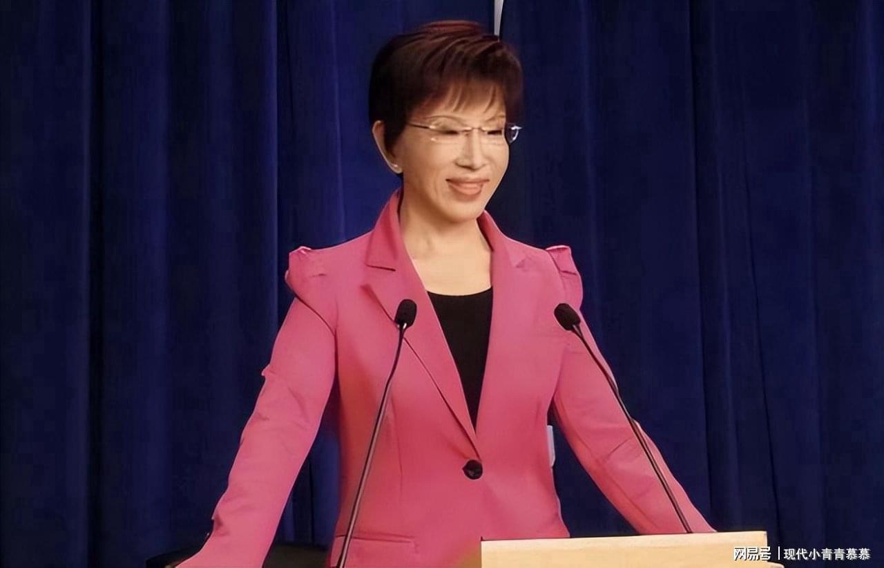 国民党未来展望