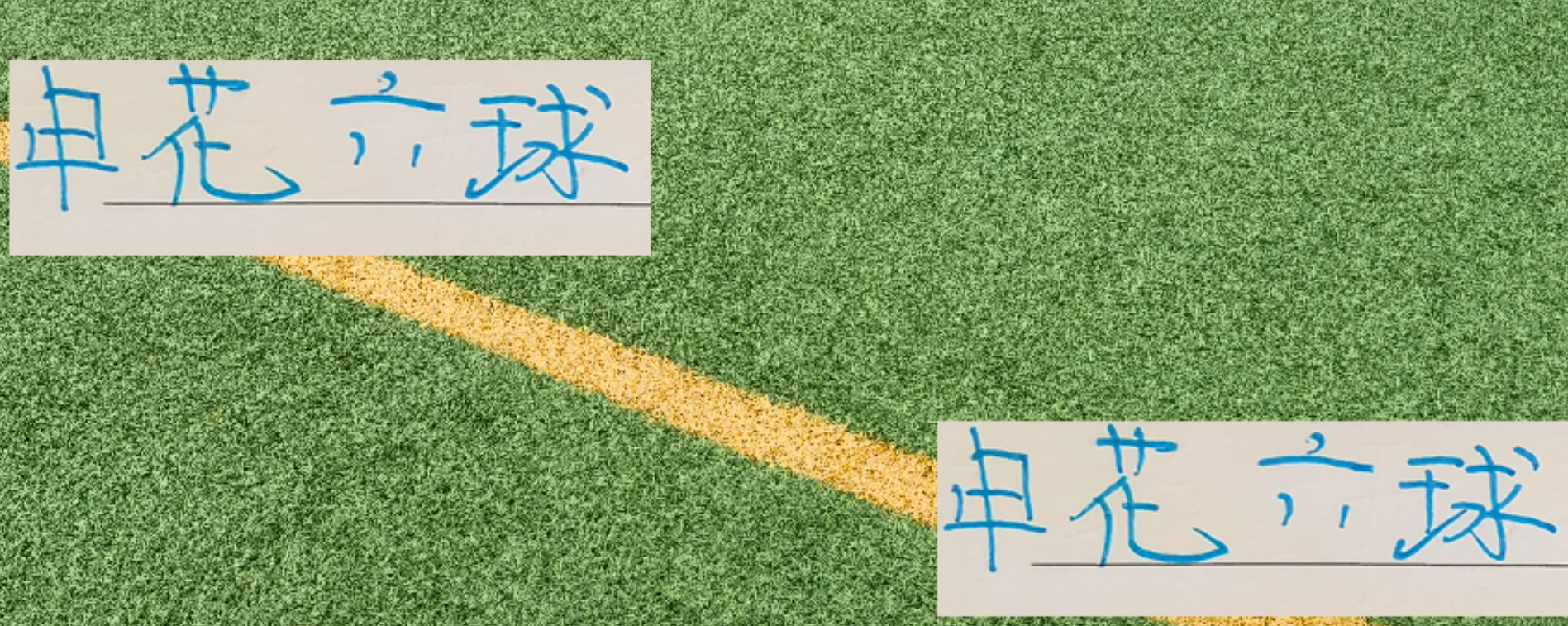 申花主场狂轰6球创佳绩，联赛夺冠仍存变数