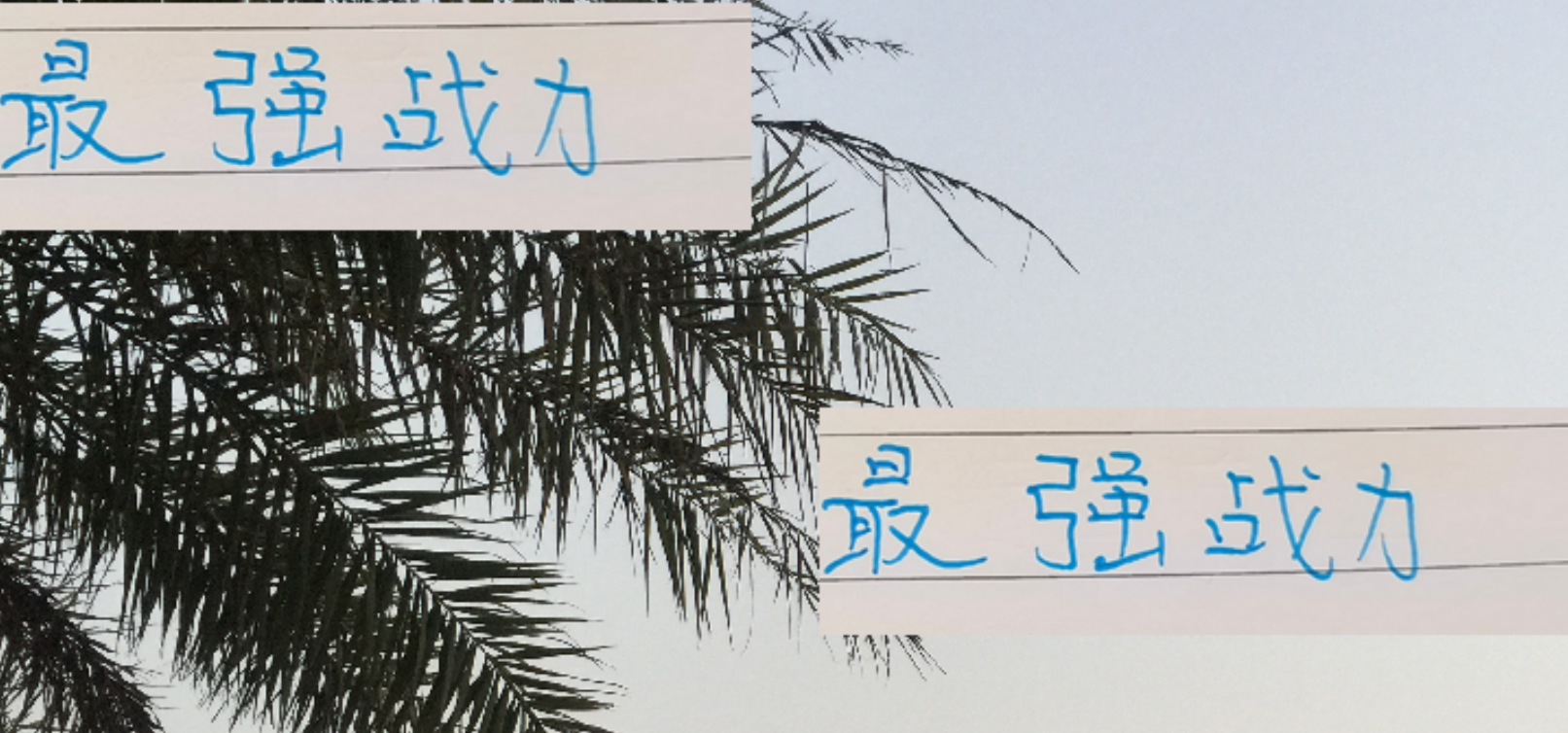 申花攻防双榜第二！前俄主帅执教显神威，最强战力待发