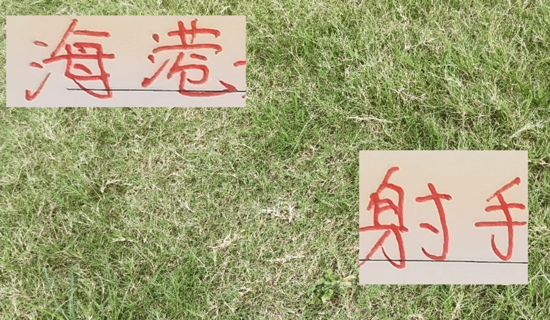 武磊前队友梅伦多成海港关键，激活莱昂纳多状态