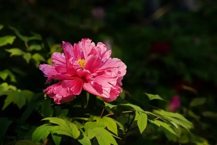 退休后富养自己最佳方式：不是旅居聚会，而是重视这件事