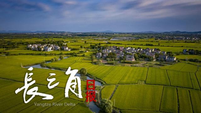 72岁江苏民营船王任元林即将执掌浙江杉杉股份