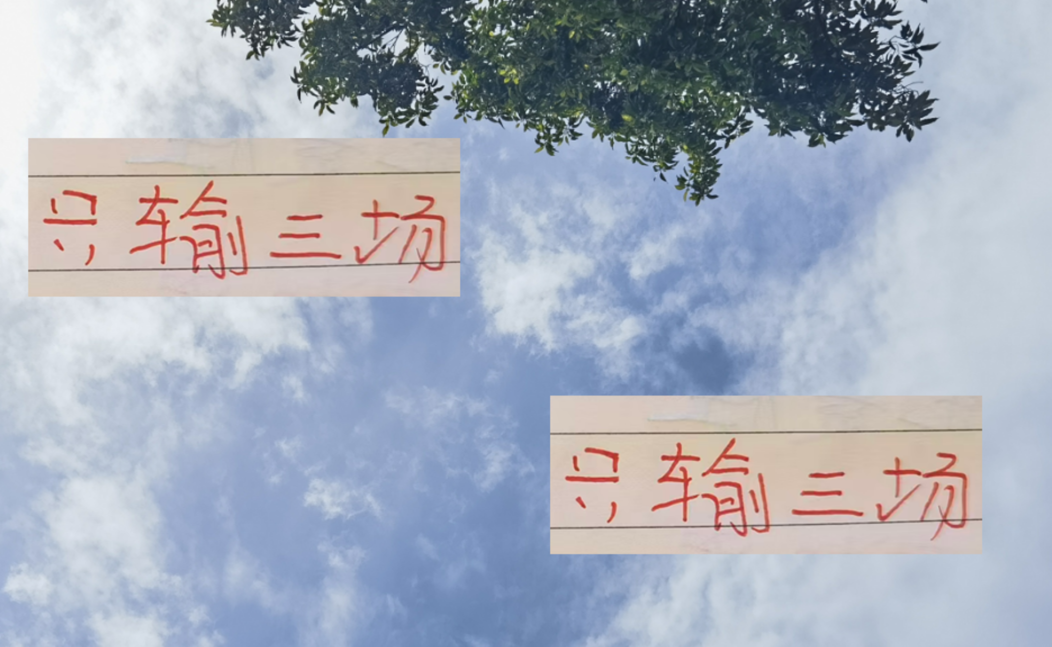 2025中超争冠：海港VS成都蓉城，谁将问鼎冠军？