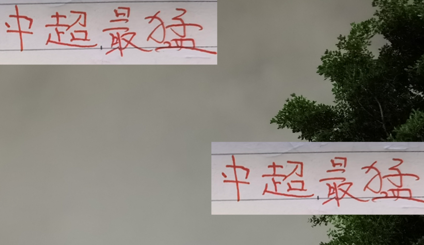 中超进攻双雄：申花边路制胜，海港锋线称王
