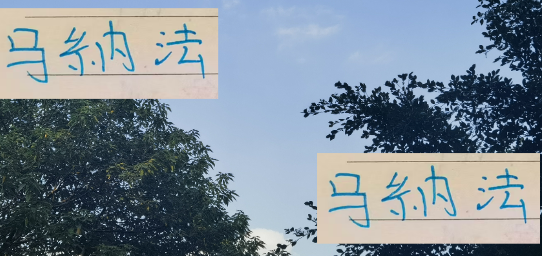 申花13号马纳法：从伤病到铁人，30场全勤背后的秘密