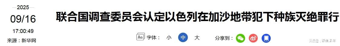 联合国实锤：以色列军队在加沙犯下种族灭绝罪及三大后果